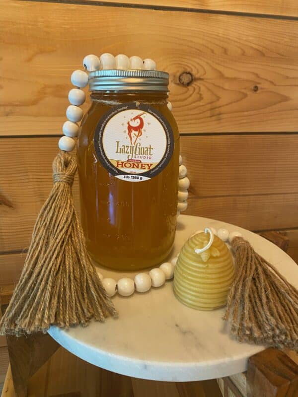 3 Pound Raw Honey