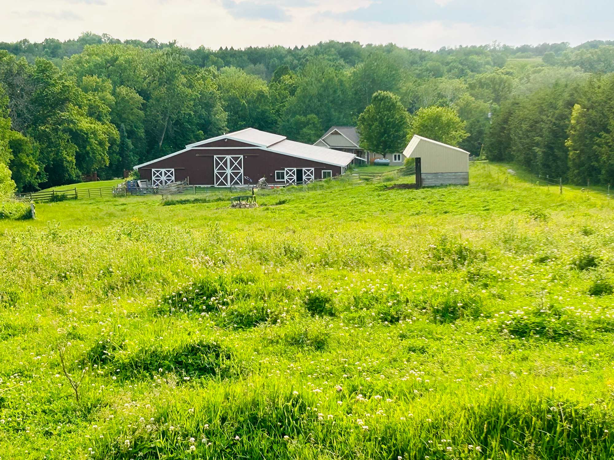 IMG_1859